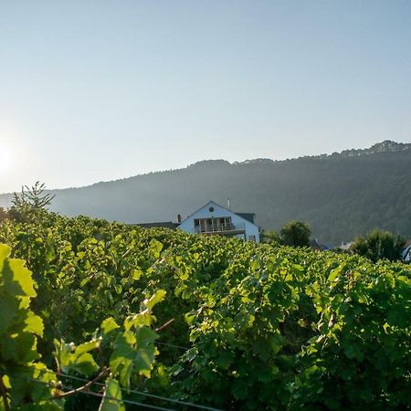 Weingut Johanneshof Minheim Exterior foto