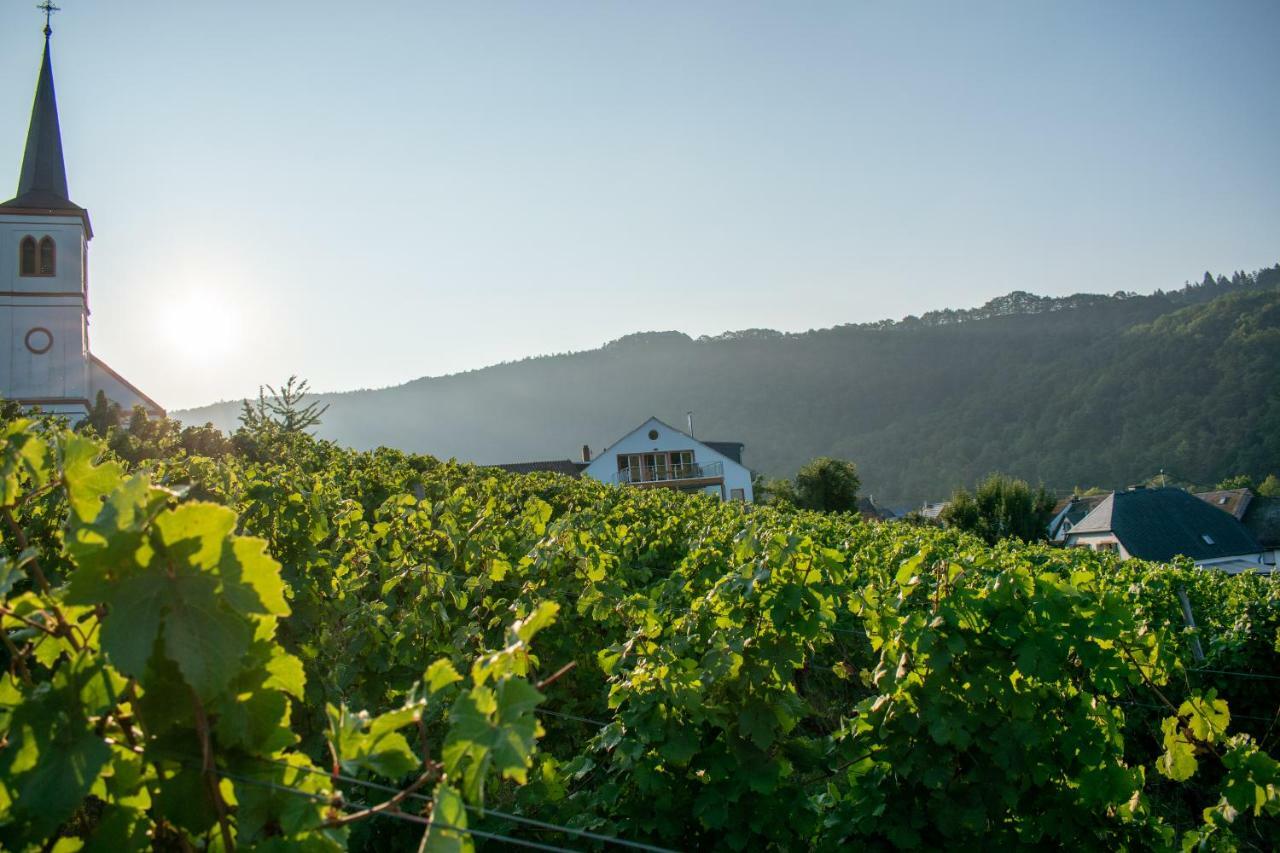 Weingut Johanneshof Minheim Exterior foto